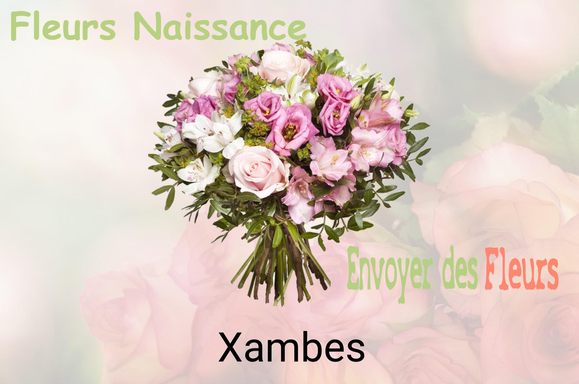 Bouquet de fleurs de naissance livré à Xambes